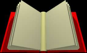 Die Geschichte der Felinen